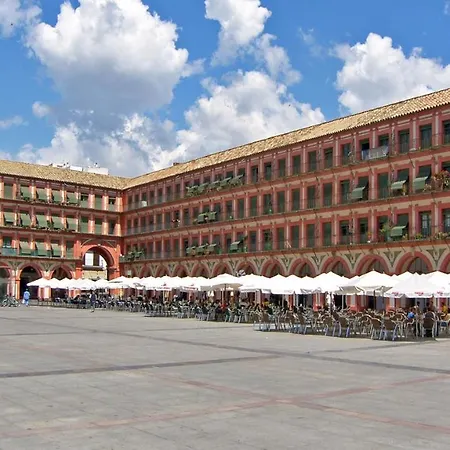 Lejlighed Sunny In The Historic Centre- Private Parking