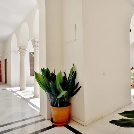 Appartement Sunny In The Historic Centre- Private Parking