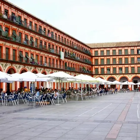 Sunny In The Historic Centre- Private Parking Córdoba