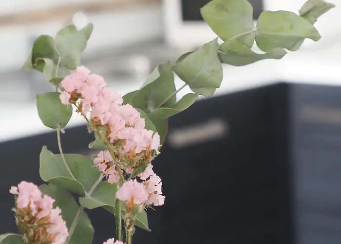 Sunny In The Historic Centre- Private Parking Апартаменти